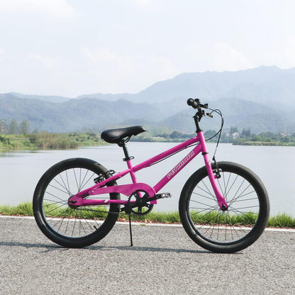 20 Inch Kids Bike for 5-9 Years Old Boys and Girls with Dual Handbrakes,Kick Stand,Red Pink and Black